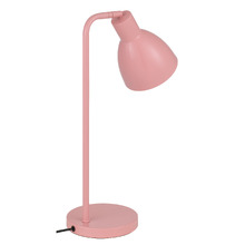 Pivot Iron Gooseneck Desk Lamp